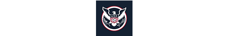 Team usa club Logo
